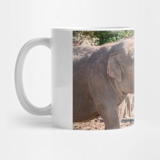 Close up of an Asian Elephant face Mug